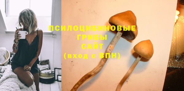 соль ск Балабаново