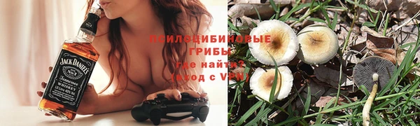 винт Покачи