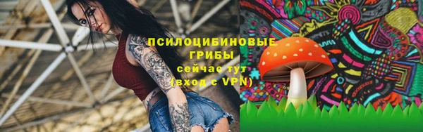 spice Белоозёрский