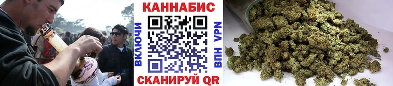 MEGA   где купить наркотик  Строитель  Бошки Шишки SATIVA & INDICA 